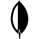 MongoDB
